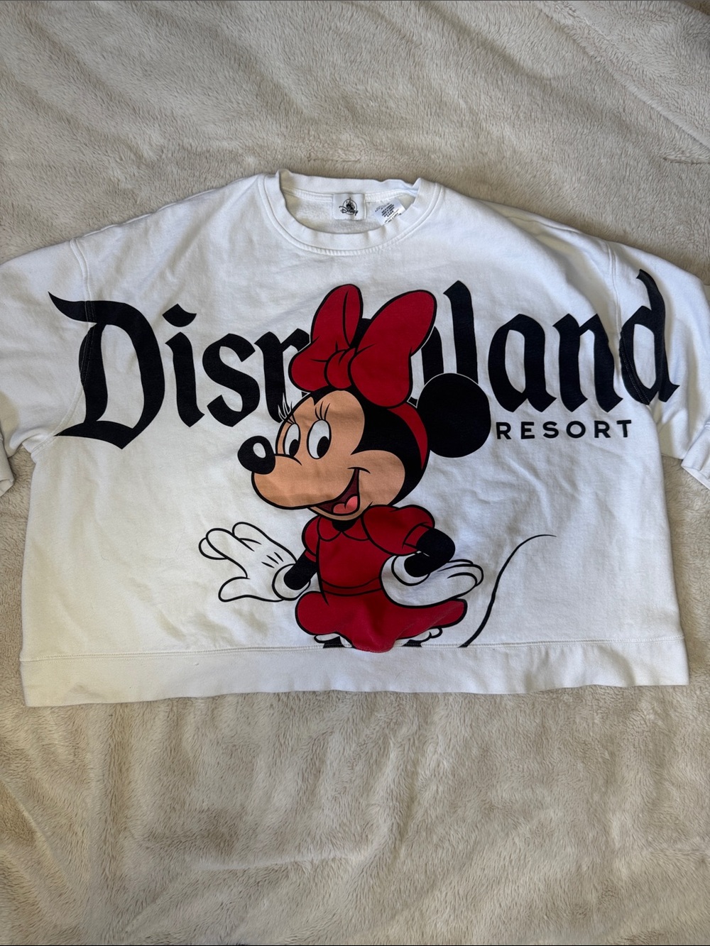 Disney Minnie Mouse Woman's Crew Neck Sweatshirt 3X
